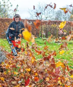 Echo PB-7910T Backpacks Leaf Blower - Image 3